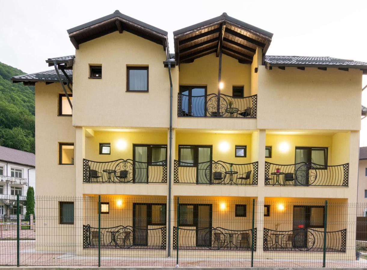 Vila Poienita Caciulata Călimăneşti Eksteriør billede